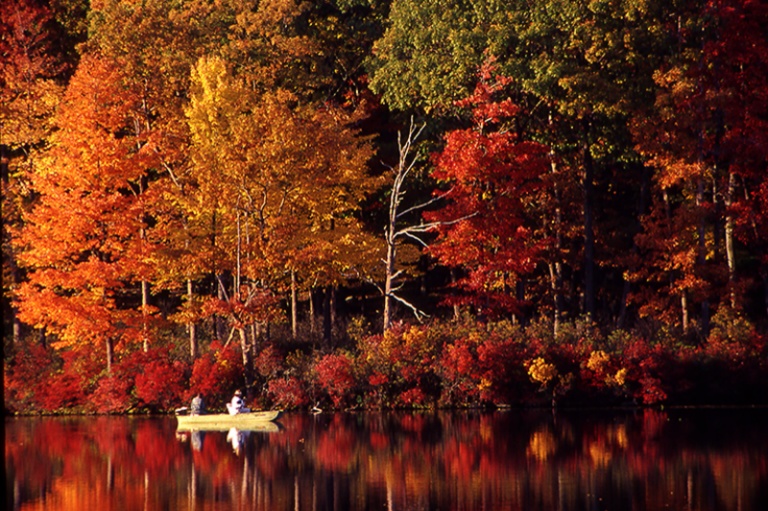 Autumn Angling